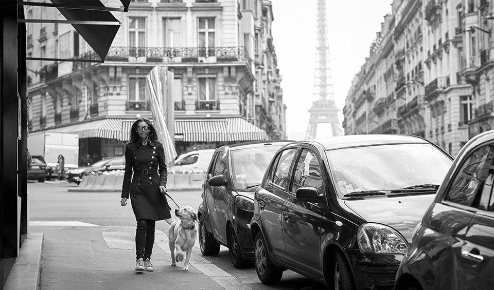 La Fine Gamelle, plats sur-mesure pour chiens urbains, Paris.